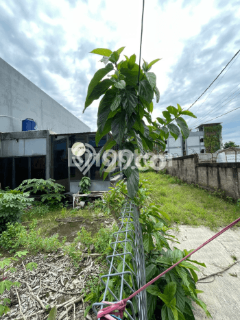 Tanah Kavling Dijual di Bintaro, Jakarta Selatan dengan Luas Tanah 1305m2 Tanah Kavling Dijual di Bintaro, Jakarta Selatan dengan Luas Tanah 1305m2
