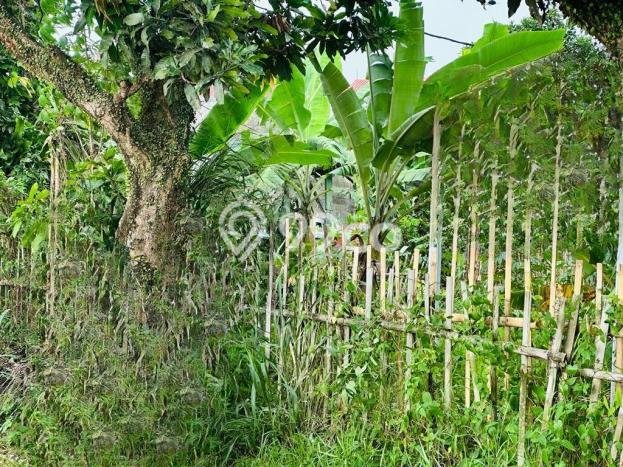 Lahan Kosong Dijual di Depok dengan Area 906m2 Lahan Kosong Dijual di Depok dengan Area 906m2