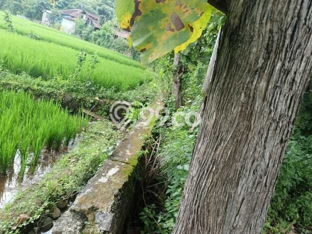 Lahan untuk Dijual Lokasi Karanganyar, Karanganyar Luas 1100m2 - Lahan untuk Dijual Lokasi Karanganyar, Karanganyar Luas 1100m2 -