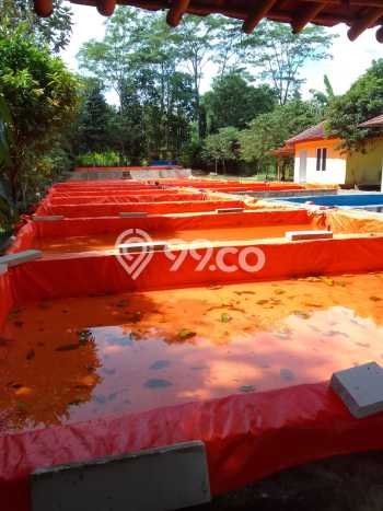 Kavling Tanah Dijual di Parung Bogor Spesifikasi 1m2 Kavling Tanah Dijual di Parung Bogor Spesifikasi 1m2