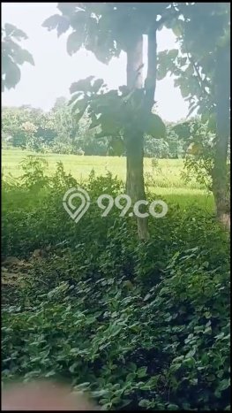 Lahan untuk Dijual Lokasi Karanganyar, Karanganyar Luas 1100m2 - Lahan untuk Dijual Lokasi Karanganyar, Karanganyar Luas 1100m2 -