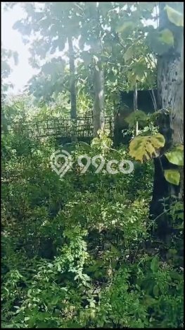 Lahan untuk Dijual Lokasi Karanganyar, Karanganyar Luas 1100m2 - Lahan untuk Dijual Lokasi Karanganyar, Karanganyar Luas 1100m2 -