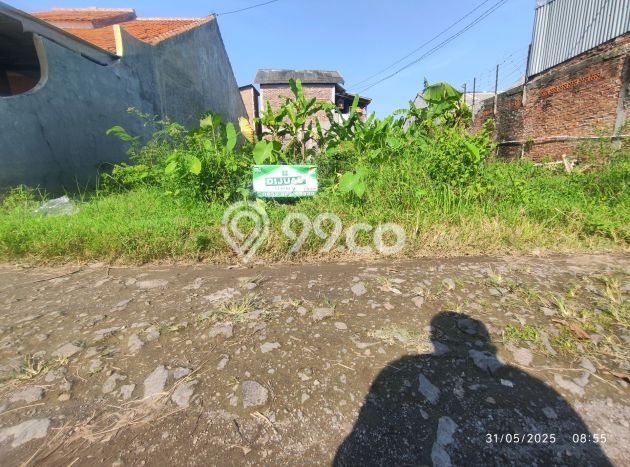 Tanah Kavling Dijual di Sutawinangun, Cirebon dengan Luas Tanah 165m2 Tanah Kavling Dijual di Sutawinangun, Cirebon dengan Luas Tanah 165m2