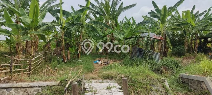 Kavling Tanah di Karangwareng Dijual Luas 9696m2 Legalitas SHM Kavling Tanah di Karangwareng Dijual Luas 9696m2 Legalitas SHM