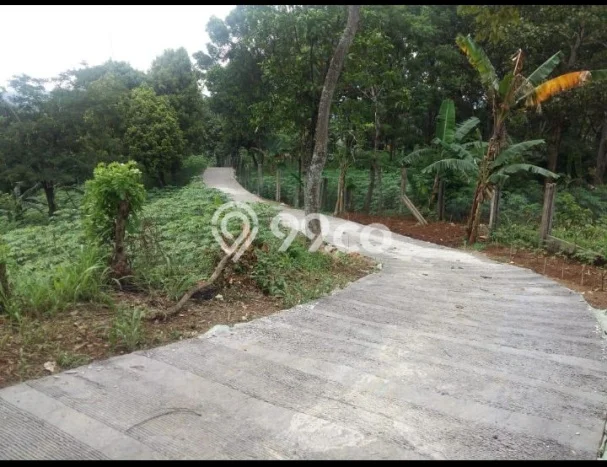 Tanah Kavling Dijual di Bogor dengan Spesifikasi 1917m2 Tanah Kavling Dijual di Bogor dengan Spesifikasi 1917m2