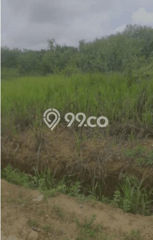 Tanah Dijual Area Strategis di Banjar Baru Banjar Baru 360000m2 Tanah Dijual Area Strategis di Banjar Baru Banjar Baru 360000m2