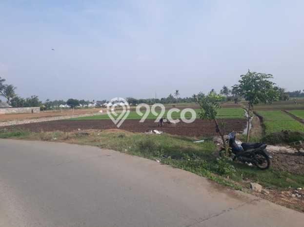 Jual Tanah Area Prospektif Kawasan Sepatan, Luas 1816m², Akses Sepatan, Tangerang, Tangerang Jual Tanah Area Prospektif Kawasan Sepatan, Luas 1816m², Akses Sepatan, Tangerang, Tangerang