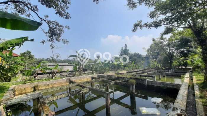 Tanah Kavling untuk Dijual di Ciampea Bogor 50000m2 Tanah Kavling untuk Dijual di Ciampea Bogor 50000m2
