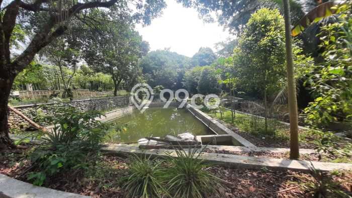 Tanah Kavling untuk Dijual di Ciampea Bogor 50000m2 Tanah Kavling untuk Dijual di Ciampea Bogor 50000m2