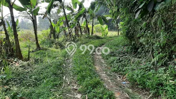 Tanah Kosong Dijual di Bogor dengan Area 1212m2 Tanah Kosong Dijual di Bogor dengan Area 1212m2