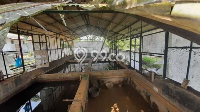 Tanah Kavling untuk Dijual di Ciampea Bogor 50000m2 Tanah Kavling untuk Dijual di Ciampea Bogor 50000m2