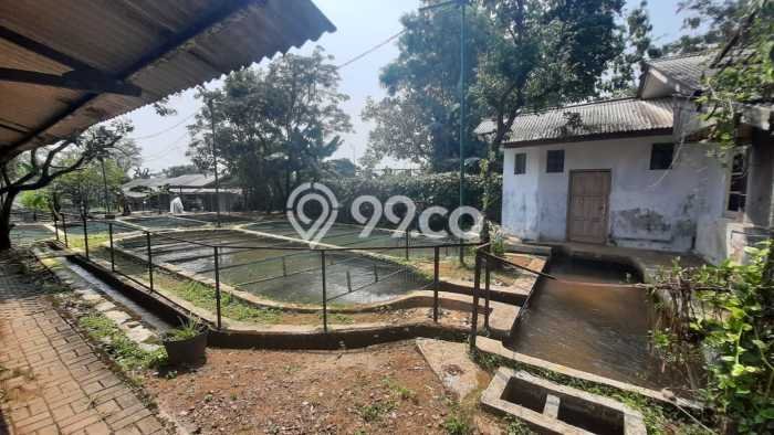 Tanah Kavling untuk Dijual di Ciampea Bogor 50000m2 Tanah Kavling untuk Dijual di Ciampea Bogor 50000m2