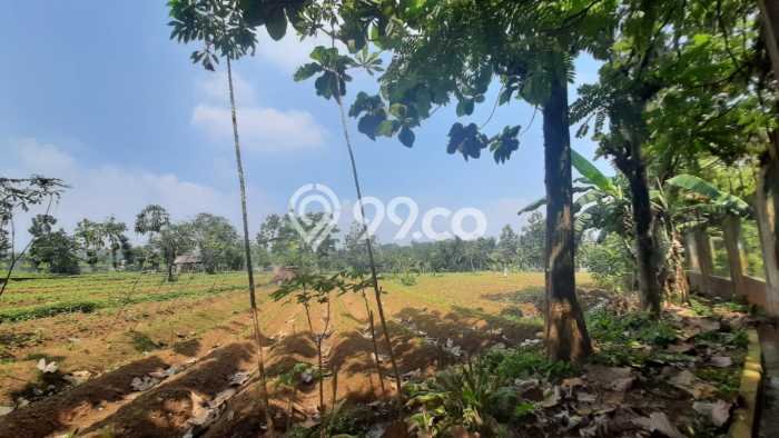 Tanah Kavling untuk Dijual di Ciampea Bogor 50000m2 Tanah Kavling untuk Dijual di Ciampea Bogor 50000m2