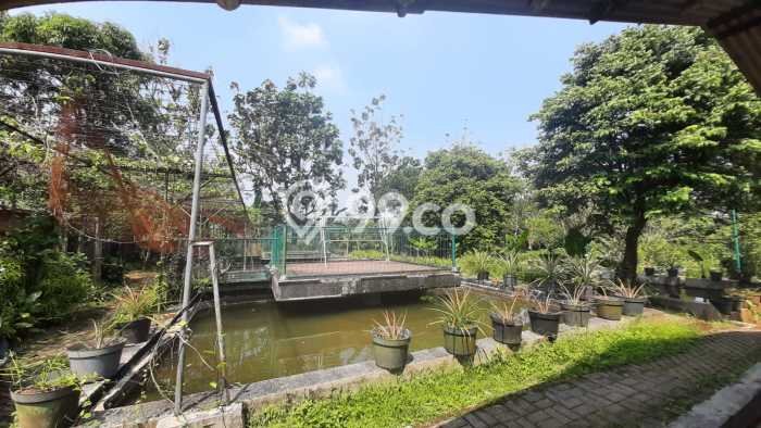 Tanah Kavling untuk Dijual di Ciampea Bogor 50000m2 Tanah Kavling untuk Dijual di Ciampea Bogor 50000m2