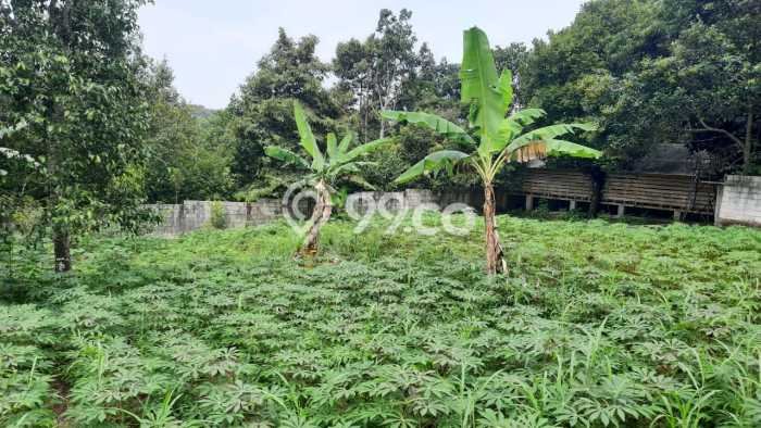 Dijual Tanah di Cijeruk Bogor Luas 960m2 SHM Dijual Tanah di Cijeruk Bogor Luas 960m2 SHM