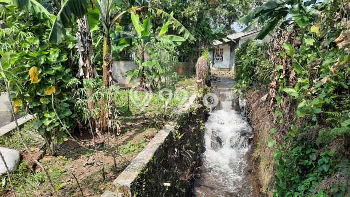 Tanah Kavling untuk Dijual di Ciampea Bogor 50000m2 Tanah Kavling untuk Dijual di Ciampea Bogor 50000m2