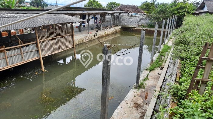 Tanah di Tenjolaya, Bogor Luas 1660m2 Dijual Segera Tanah di Tenjolaya, Bogor Luas 1660m2 Dijual Segera