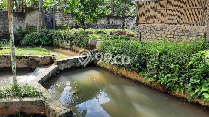 Tanah di Tenjolaya, Bogor Luas 1660m2 Dijual Segera Tanah di Tenjolaya, Bogor Luas 1660m2 Dijual Segera