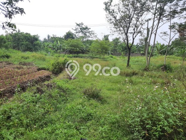 Kavling Tanah Dijual di Ciampea Bogor Spesifikasi 2200m2 Kavling Tanah Dijual di Ciampea Bogor Spesifikasi 2200m2