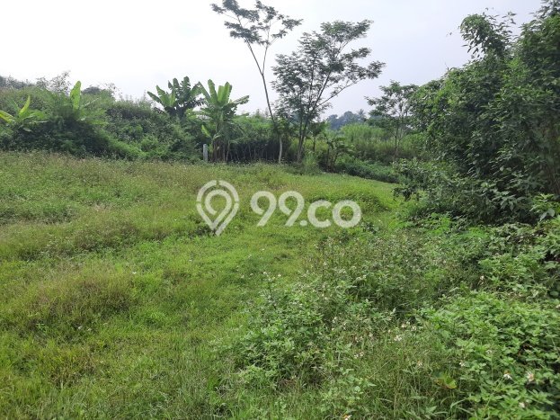 Kavling Tanah Dijual di Ciampea Bogor Spesifikasi 2200m2 Kavling Tanah Dijual di Ciampea Bogor Spesifikasi 2200m2