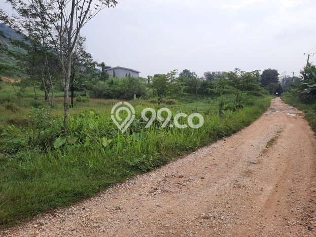 Kavling Tanah Dijual di Ciampea Bogor Spesifikasi 2200m2 Kavling Tanah Dijual di Ciampea Bogor Spesifikasi 2200m2