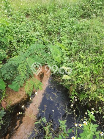 Kavling Tanah Dijual di Ciampea Bogor Spesifikasi 2200m2 Kavling Tanah Dijual di Ciampea Bogor Spesifikasi 2200m2