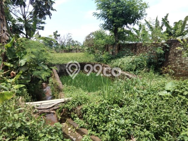 Lahan Dijual Lokasi Ciampea, Bogor dengan Luas Tanah 5000m2 dan Status SHM Lahan Dijual Lokasi Ciampea, Bogor dengan Luas Tanah 5000m2 dan Status SHM