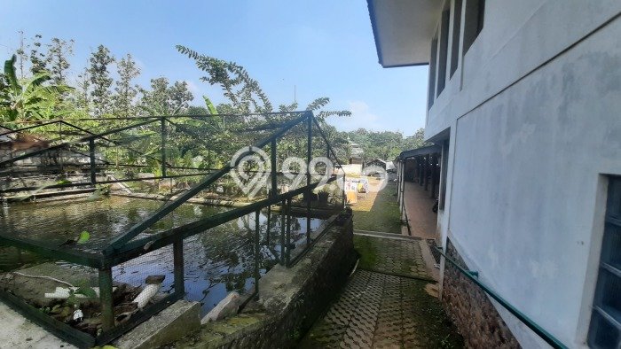 Tanah Dijual Lokasi Ciampea, Bogor dengan Luas Tanah 50000m2 dan Status SHM Tanah Dijual Lokasi Ciampea, Bogor dengan Luas Tanah 50000m2 dan Status SHM