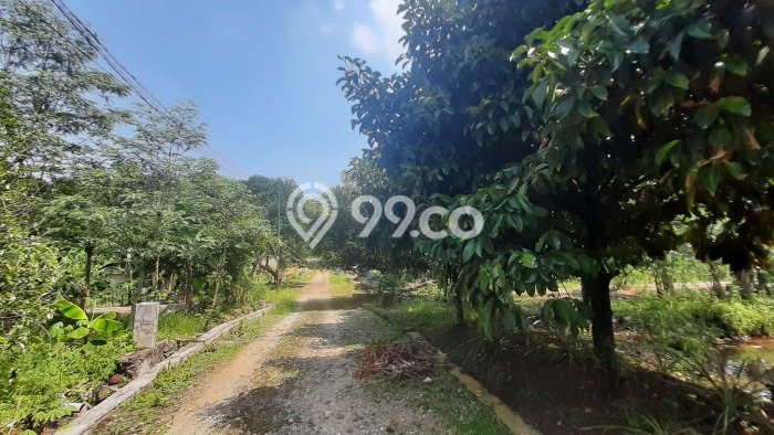 Tanah Dijual Lokasi Ciampea, Bogor dengan Luas Tanah 50000m2 dan Status SHM Tanah Dijual Lokasi Ciampea, Bogor dengan Luas Tanah 50000m2 dan Status SHM