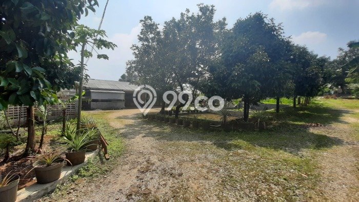 Tanah Dijual Lokasi Ciampea, Bogor dengan Luas Tanah 50000m2 dan Status SHM Tanah Dijual Lokasi Ciampea, Bogor dengan Luas Tanah 50000m2 dan Status SHM