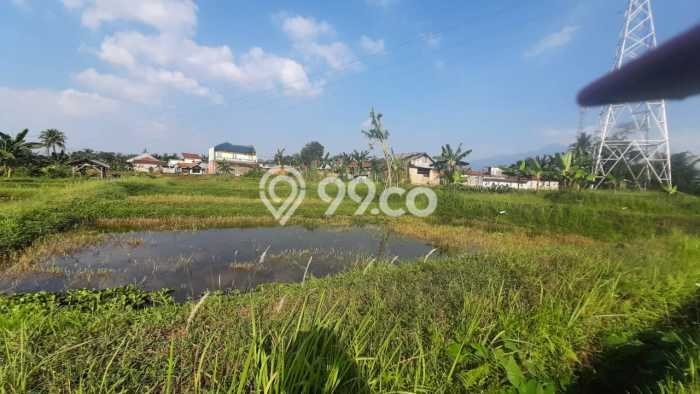 Lahan Kosong Dijual di Ciampea, Bogor, Luas 6000m2 Area Strategis Lahan Kosong Dijual di Ciampea, Bogor, Luas 6000m2 Area Strategis