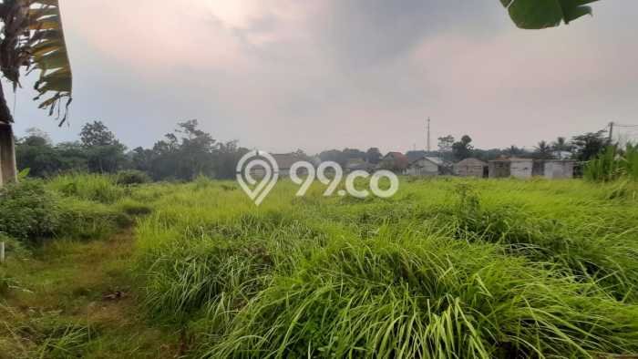 Lahan untuk Dijual Lokasi Ciampea, Bogor Luas 2200m2 SHM Lahan untuk Dijual Lokasi Ciampea, Bogor Luas 2200m2 SHM