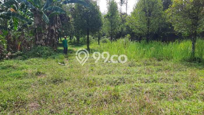 Tanah untuk Dijual di Ciampea Bogor Luas 1614m2 Tanah untuk Dijual di Ciampea Bogor Luas 1614m2
