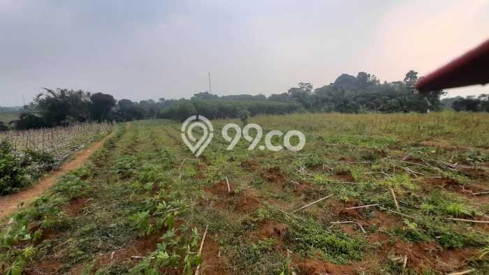 Jarang Ada! Tanah di Ciampea Punya Luas 2000m2 SHM Jarang Ada! Tanah di Ciampea Punya Luas 2000m2 SHM