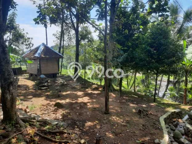 Lahan untuk Dijual Lokasi Sukamakmur, Bogor Luas 2173m2 SHM Lahan untuk Dijual Lokasi Sukamakmur, Bogor Luas 2173m2 SHM