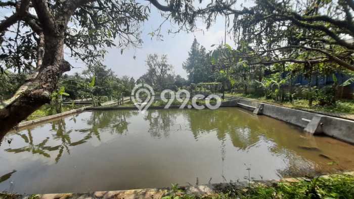 Tanah Kavling untuk Dijual di Ciampea Bogor 50000m2 Tanah Kavling untuk Dijual di Ciampea Bogor 50000m2