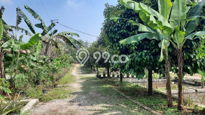 Tanah Kavling untuk Dijual di Ciampea Bogor 50000m2 Tanah Kavling untuk Dijual di Ciampea Bogor 50000m2