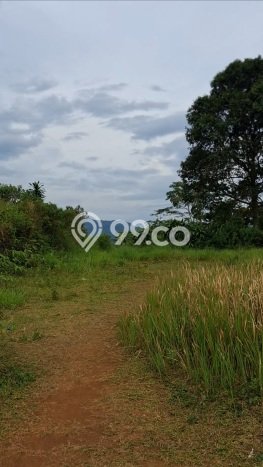 Tanah Kavling untuk Dijual di Nanggung Bogor 20515m2 Tanah Kavling untuk Dijual di Nanggung Bogor 20515m2