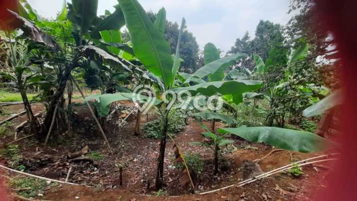 Lahan Strategis di Tajur Halang Dijual dengan Luas 2000m2 Lahan Strategis di Tajur Halang Dijual dengan Luas 2000m2