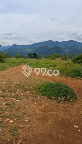 Tanah Kavling untuk Dijual di Nanggung Bogor 20515m2 Tanah Kavling untuk Dijual di Nanggung Bogor 20515m2