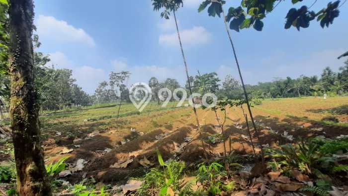 Tanah Kavling untuk Dijual di Ciampea Bogor 50000m2 Tanah Kavling untuk Dijual di Ciampea Bogor 50000m2