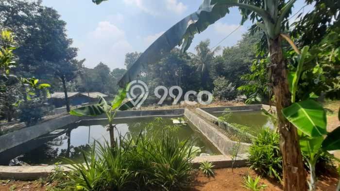 Tanah Kavling untuk Dijual di Ciampea Bogor 50000m2 Tanah Kavling untuk Dijual di Ciampea Bogor 50000m2