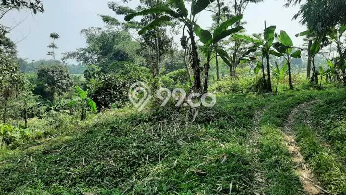 Tanah Kosong Dijual di Bogor dengan Area 1212m2 Tanah Kosong Dijual di Bogor dengan Area 1212m2