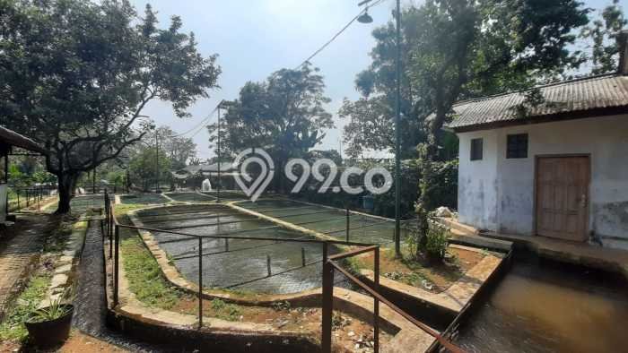 Tanah Kavling untuk Dijual di Ciampea Bogor 50000m2 Tanah Kavling untuk Dijual di Ciampea Bogor 50000m2