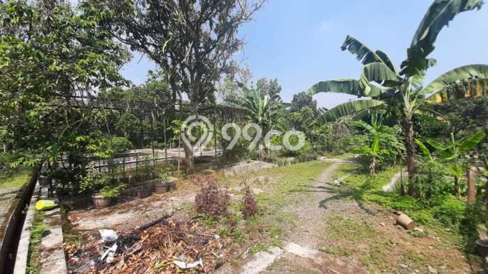 Tanah Kavling untuk Dijual di Ciampea Bogor 50000m2 Tanah Kavling untuk Dijual di Ciampea Bogor 50000m2