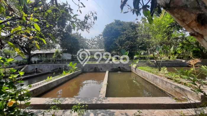 Tanah Kavling untuk Dijual di Ciampea Bogor 50000m2 Tanah Kavling untuk Dijual di Ciampea Bogor 50000m2