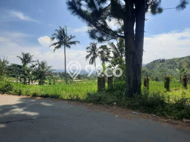 Lahan untuk Dijual Lokasi Sukamakmur, Bogor Luas 2173m2 SHM Lahan untuk Dijual Lokasi Sukamakmur, Bogor Luas 2173m2 SHM
