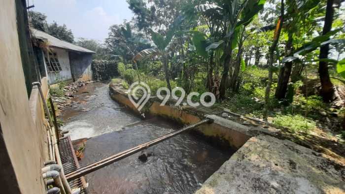 Tanah Kavling untuk Dijual di Ciampea Bogor 50000m2 Tanah Kavling untuk Dijual di Ciampea Bogor 50000m2