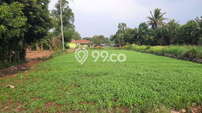 Tanah Dijual Area Strategis di Semplak Bogor 60000m2 Tanah Dijual Area Strategis di Semplak Bogor 60000m2