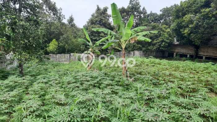 Dijual Tanah di Cijeruk Bogor Luas 960m2 SHM Dijual Tanah di Cijeruk Bogor Luas 960m2 SHM